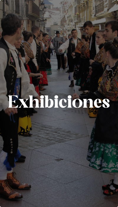 PortadaExhibiciones_Servicios