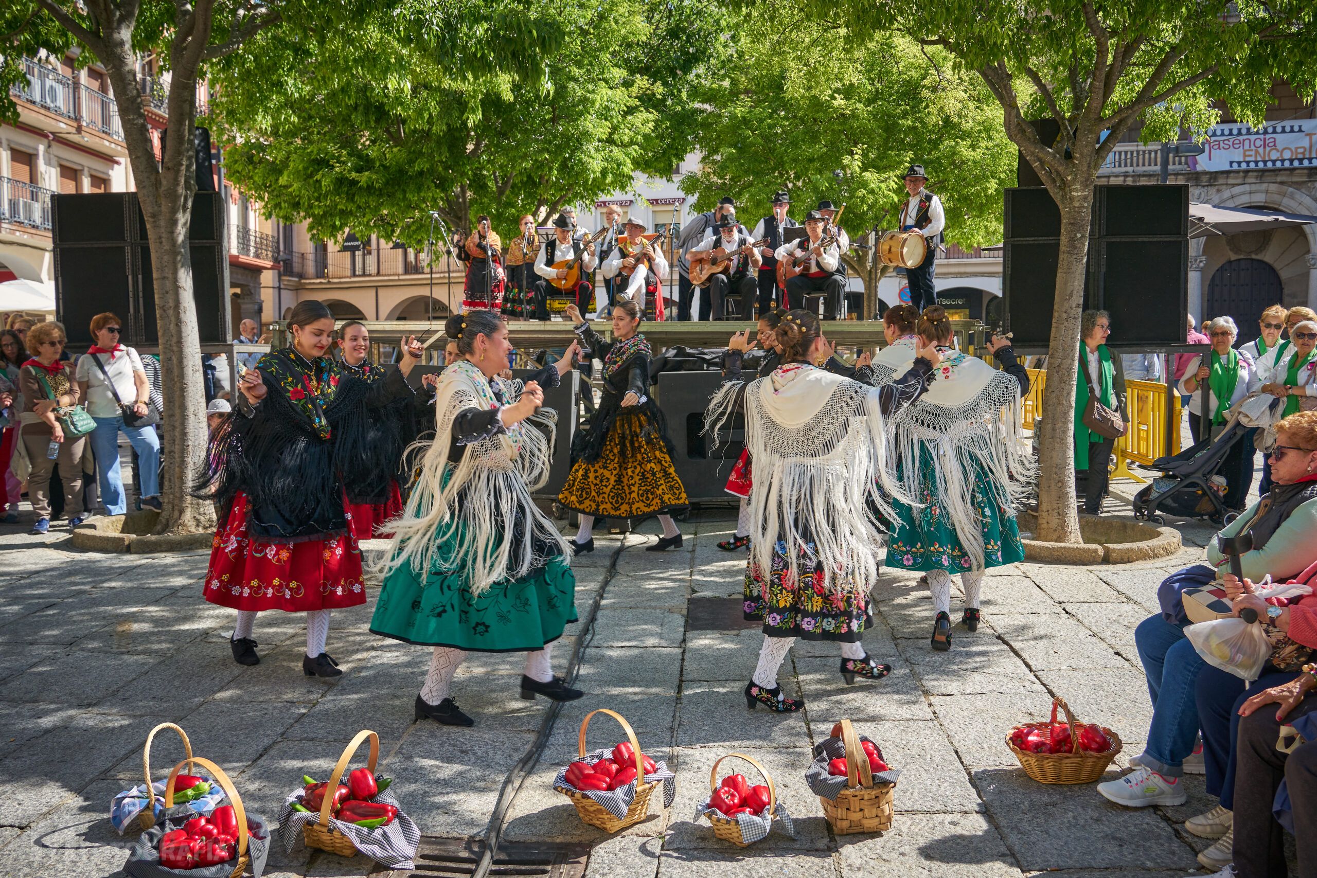 AsambleaDeMujeres_2024 (17)